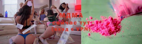 индика Медногорск