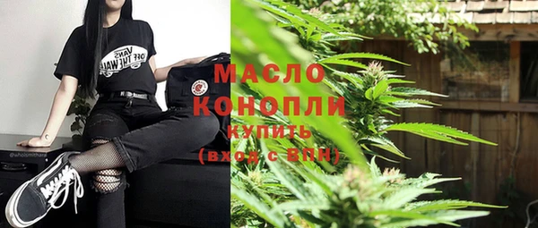 индика Медногорск
