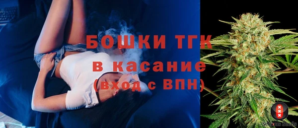 индика Надым