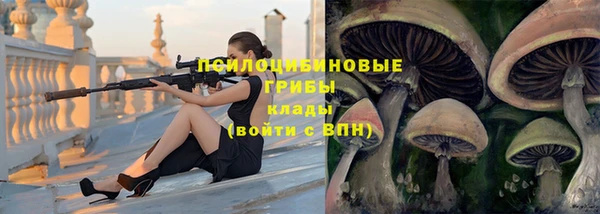 хмурый Михайлов