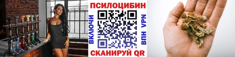 Галлюциногенные грибы мицелий  Минусинск 