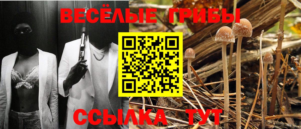 Псилоцибиновые грибы Magic Shrooms Минусинск