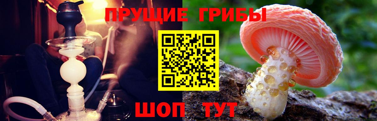 Минусинск  Псилоцибиновые грибы MAGIC MUSHROOMS  Вход с VPN 